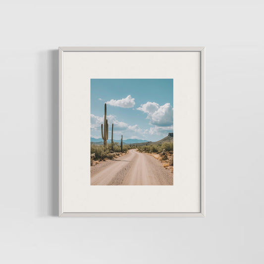 Cactus Road