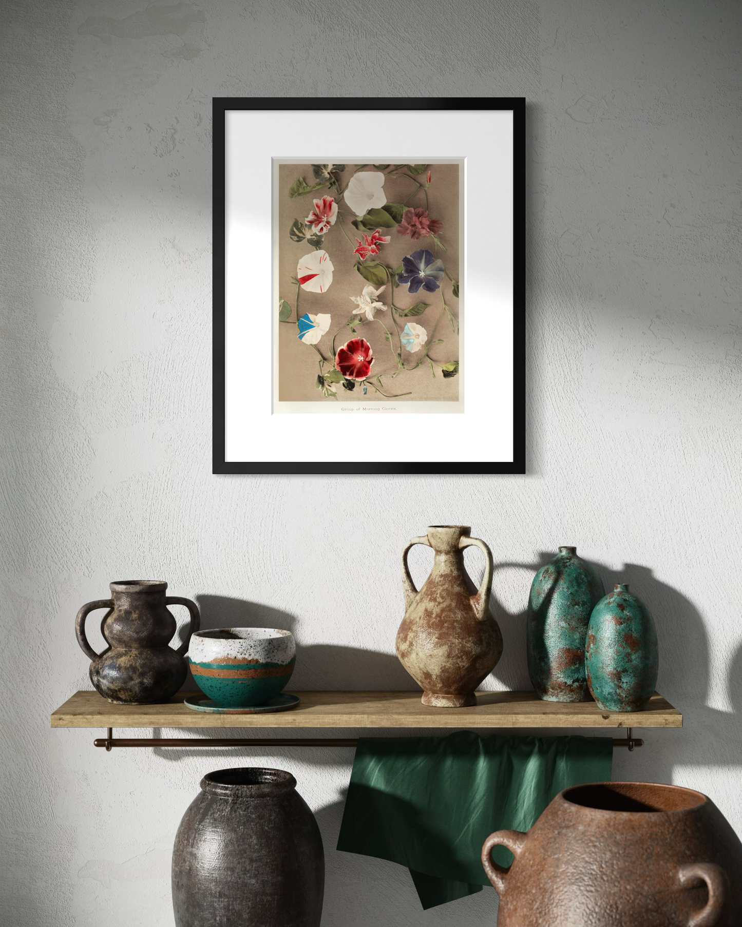 Group of morning glories