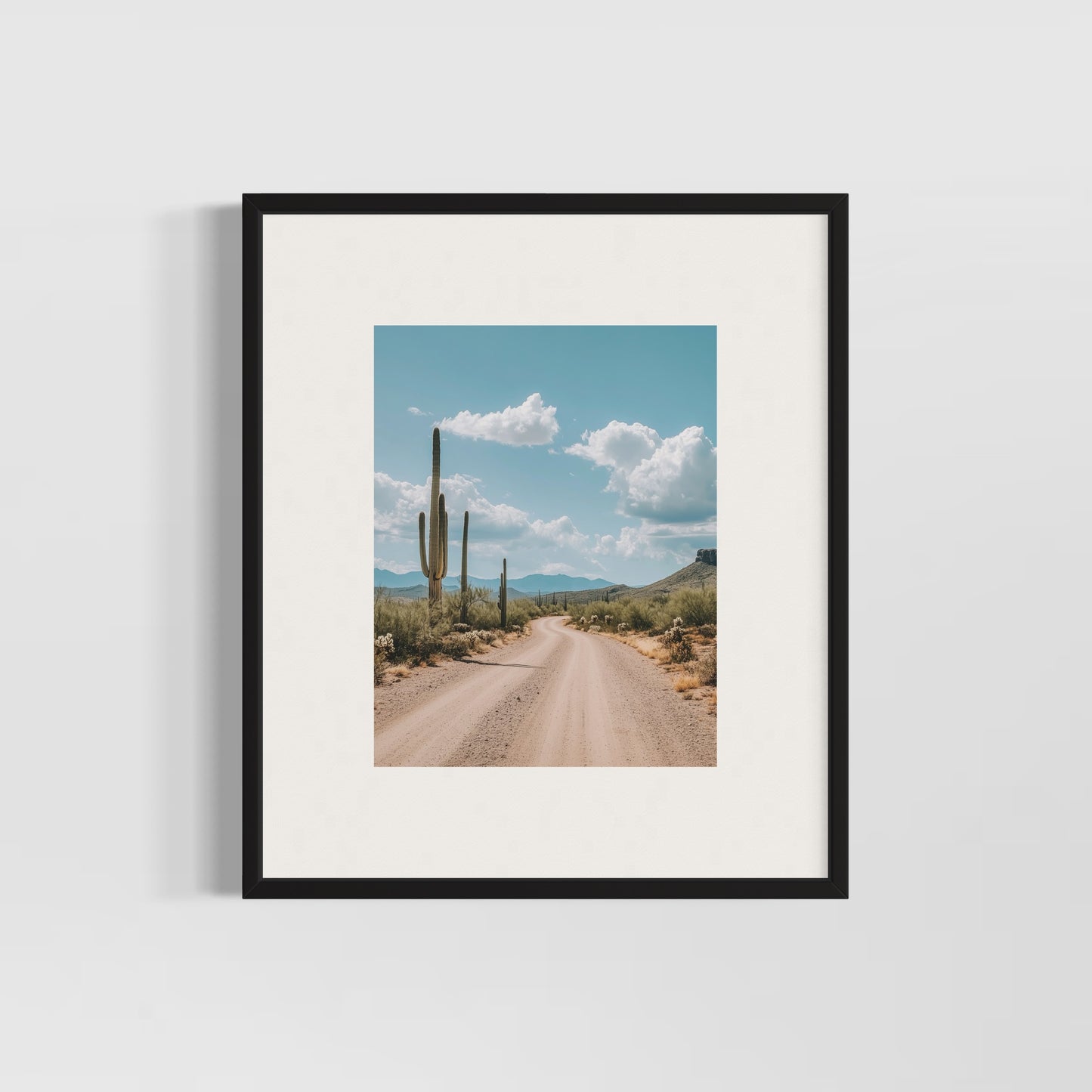 Cactus Road
