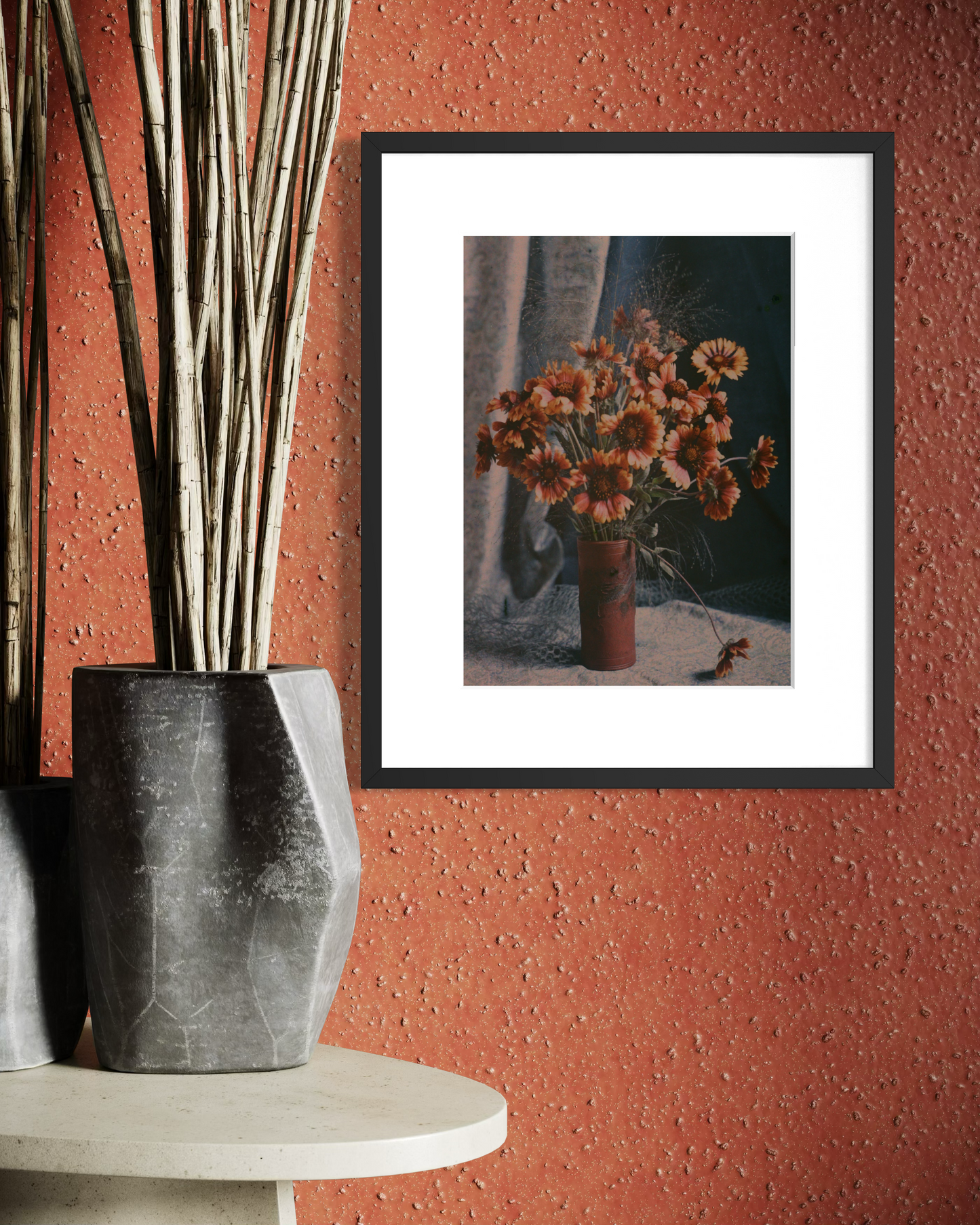 Gaillardias